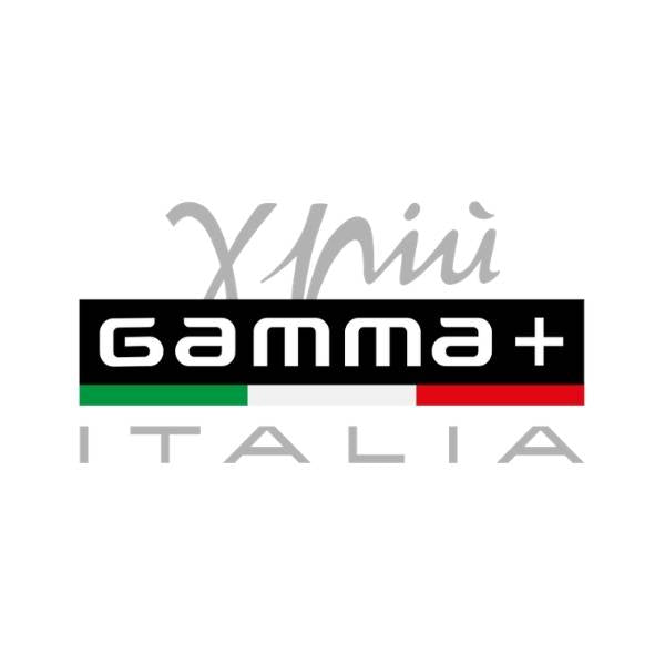 Gamma+ Italia -logo