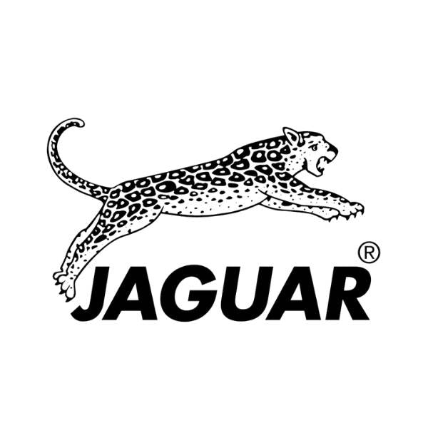 Jaguar logo
